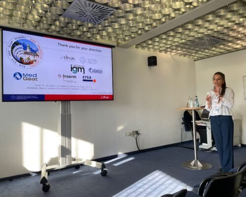 aa13f54f-fe92-4a59-ad2e-104542d295cc